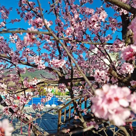 The Five Elements And Hotel 4*