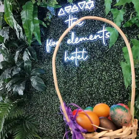 호텔 The Five Elements And 4*