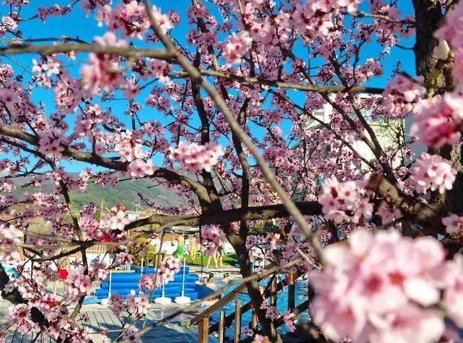 The Five Elements And Hotel 4*